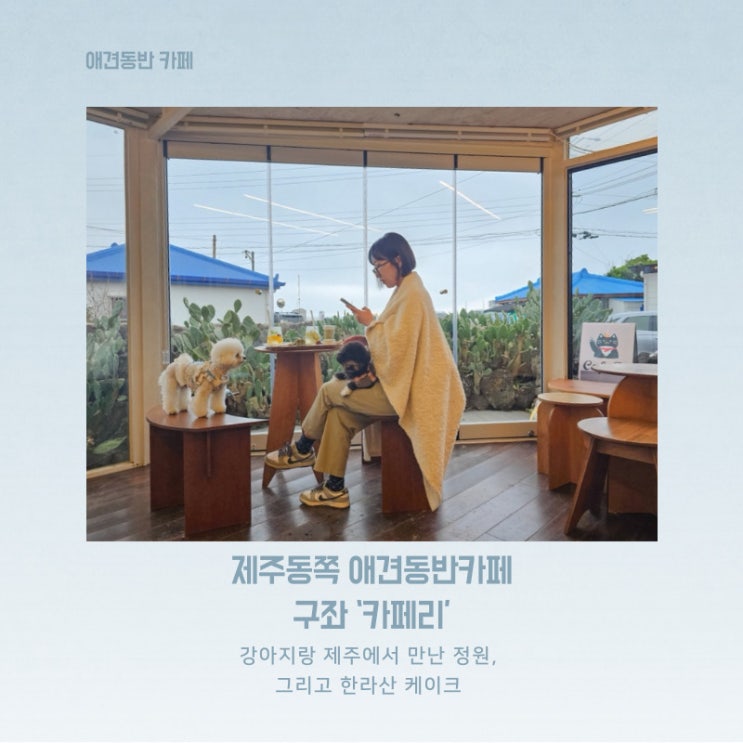  소품샵과 고양이까지, 제주 동쪽 구좌 애견동반카페 카페리