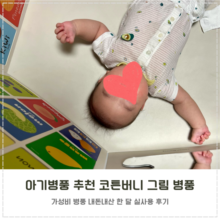  가성비 아기병풍 추천 코튼버니 그림 병풍 내돈내산