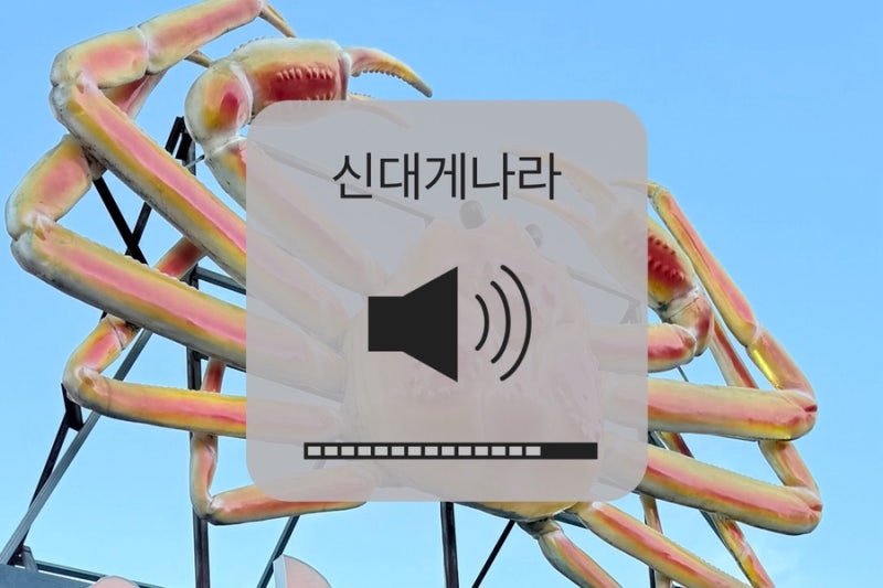 강릉 주문진 대게 맛집 신대게나라