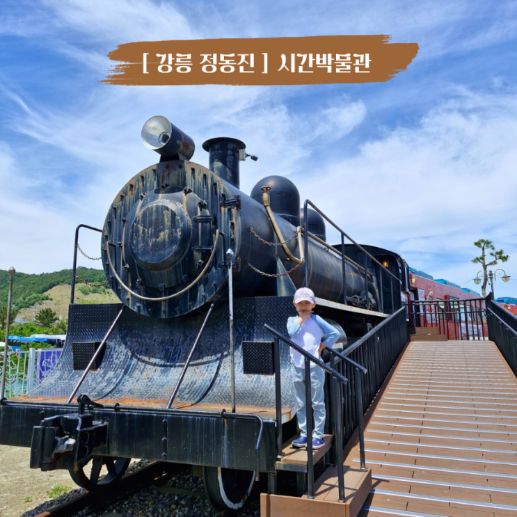  강릉 정동진 아이랑 가볼 만한 곳 실내 시간박물관