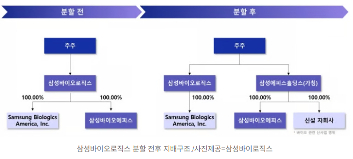  삼성바이오로직스 인적분할 vs LG화학 물적분할