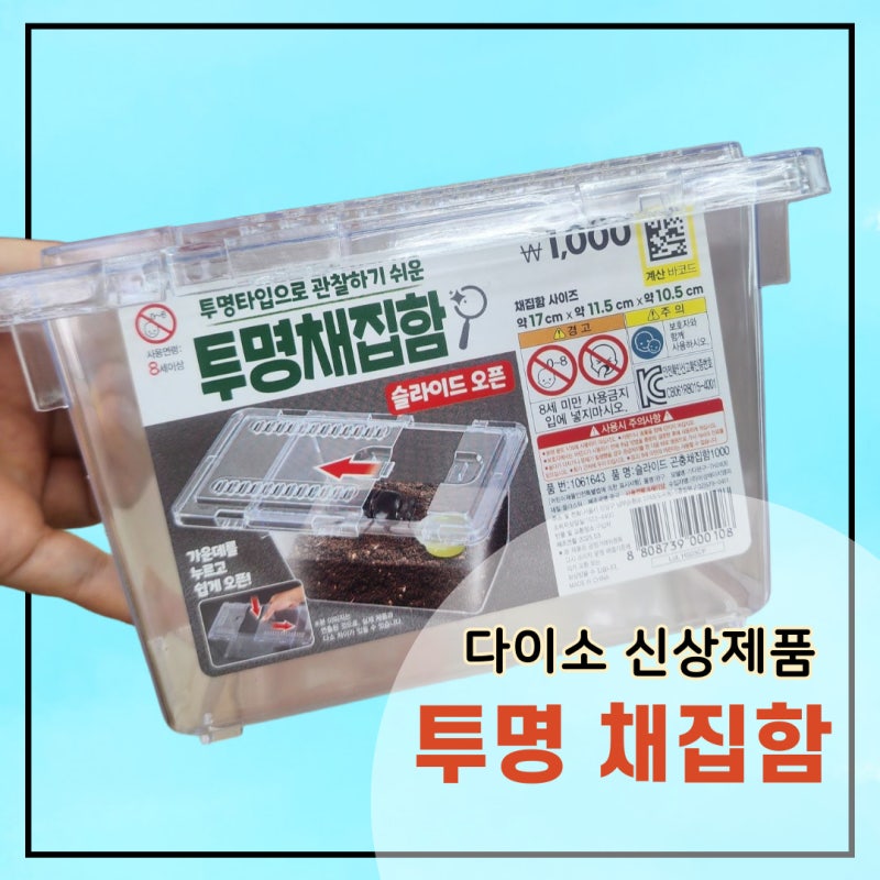 사슴벌레 키우기 다이소투명채집함 슬라이드 사육장추천