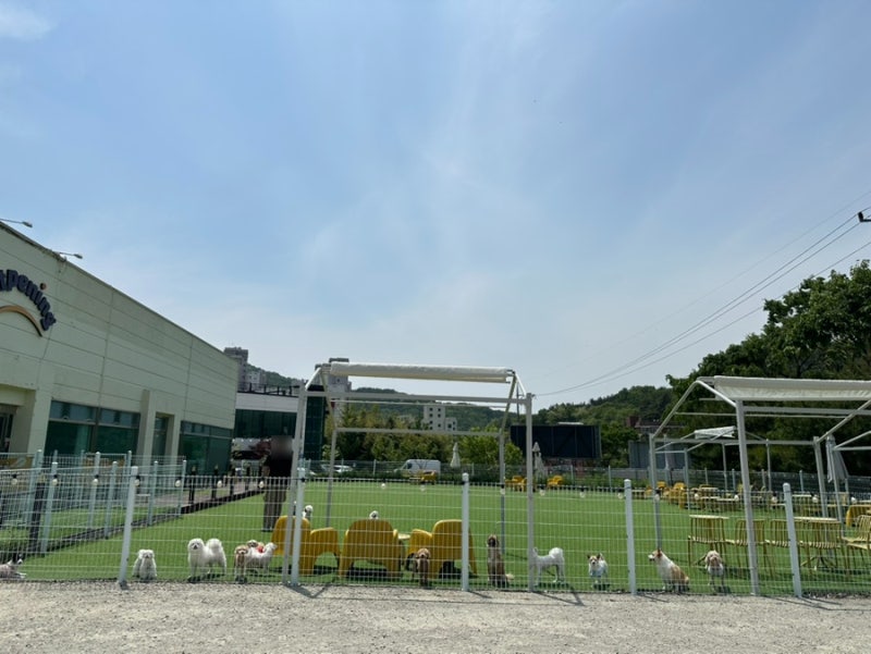사진 4