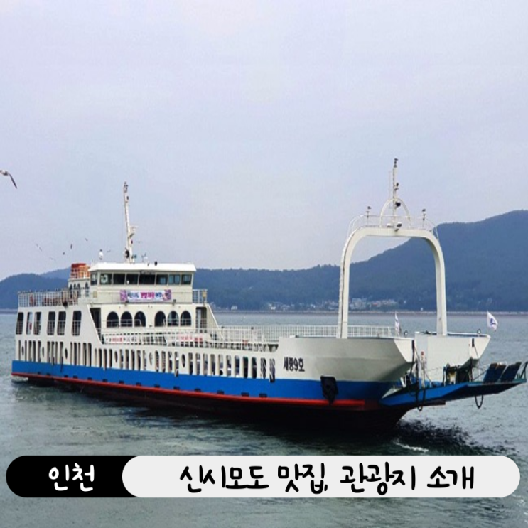  인천 섬 여행의 끝판왕! 신시모도 당일치기 코스&맛집