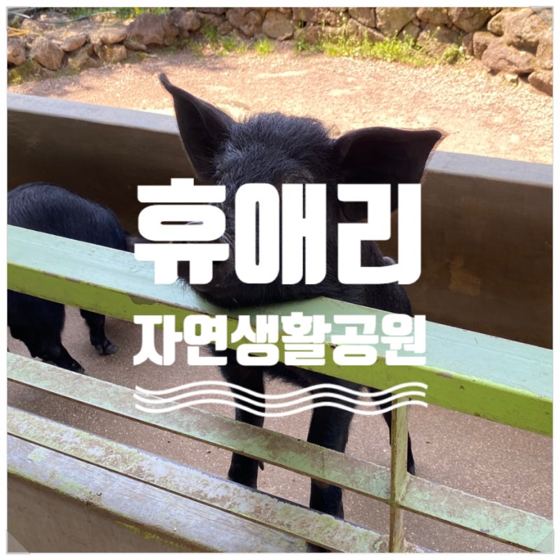 사진 2