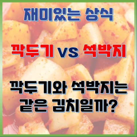 깍두기 vs 섞박지, 깍두기와 섞박지는 같은 김치일까? 깍두기 vs 섞박지, 깍두기와 섞박지는 같은 김치일까?