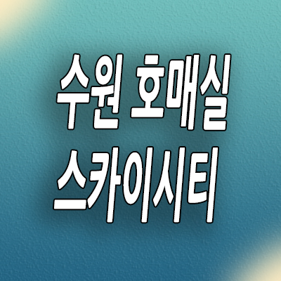  수원 금곡동 미분양오피스텔 호매실역 스카이시티 투룸 3룸 분양가격 잔여세대
