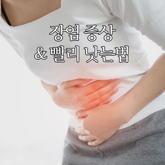 장염증상 장염빨리낫는법 정리