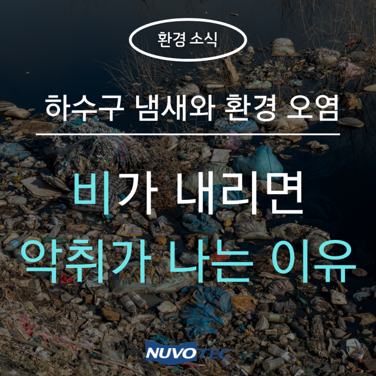  [환경소식#4] 비 오는 날 하수구에서 악취가 나는 이유?