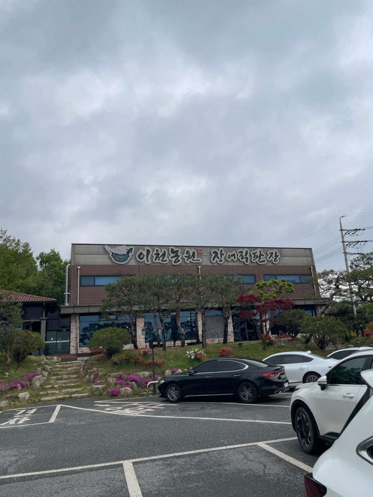  경기 이천 이천농원장어직판장 장어맛집