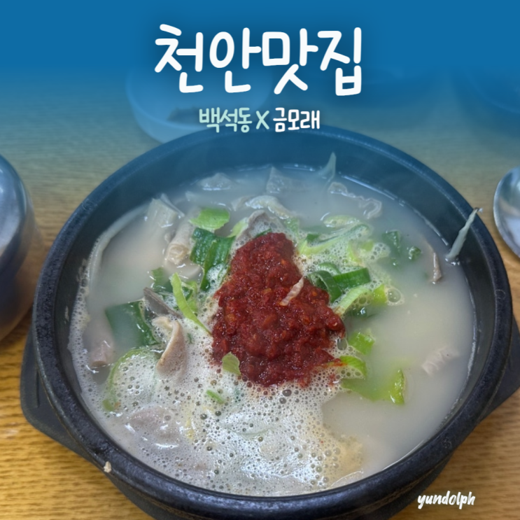  [천안맛집] 백석동 24시간 내장국밥 맛집 '금모래' (간, 허파 공짜!)
