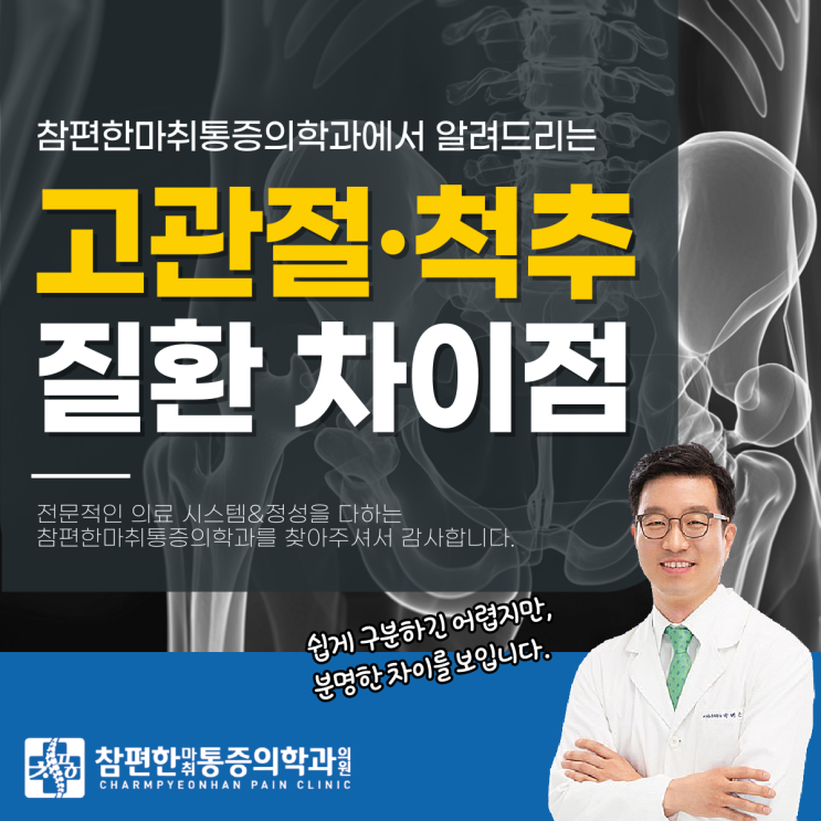  일산주엽도수치료 정형외과, 고관절질환 vs 척추질환 차이점은?