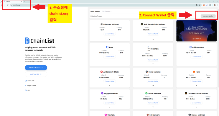  메타마스크, 래비월렛 : 네트워크 추가(체인 추가) 5분요약_Metamask, Rabby wallet,개인지갑 체인, 네트워크, 메인넷 추가하는법