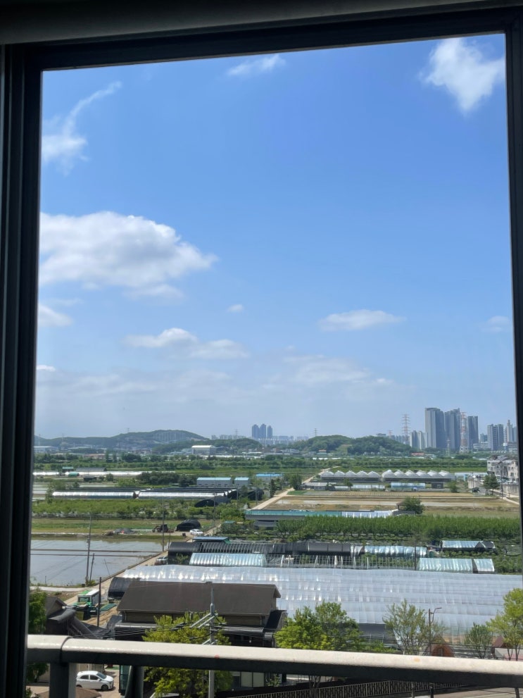  [파주방충망교체/ 방충망천재]여름 준비, 우리 집 첫 방충망 이야기