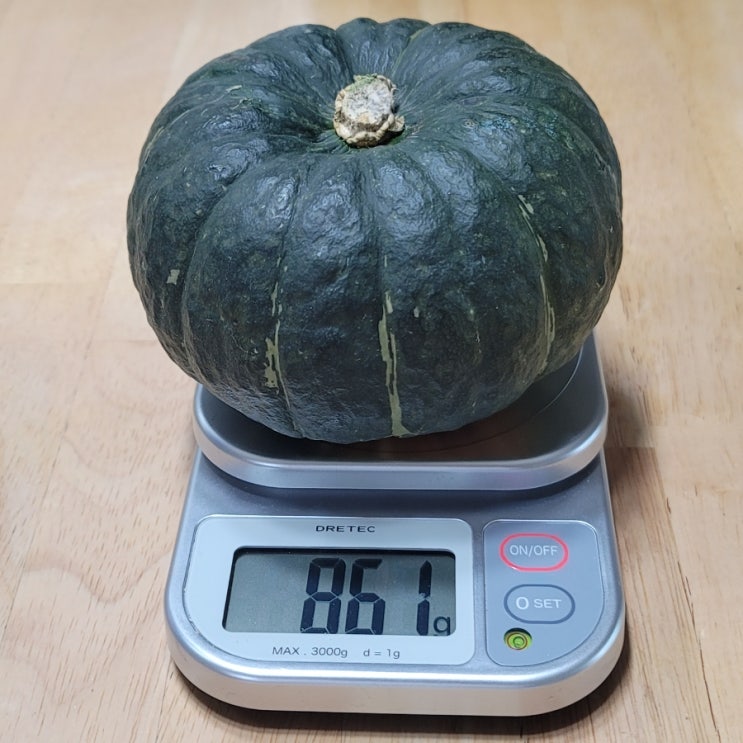  제주도 보우짱 단호박 고구마만큼이나 맛있네.  feat. 맛통령 미니 단호박