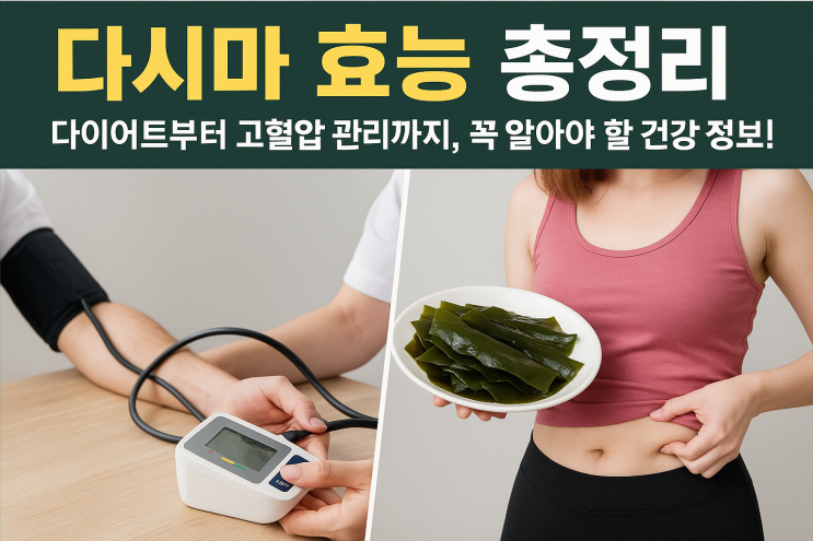  다시마 효능 총정리｜다이어트부터 고혈압 관리까지, 꼭 알아야 할 건강 정보!