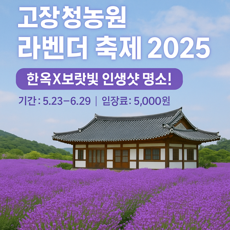  고창 청농원 라벤더 축제 2025: 한옥X보랏빛 인생샷 명소! (기간, 개화, 입장료 총정리)