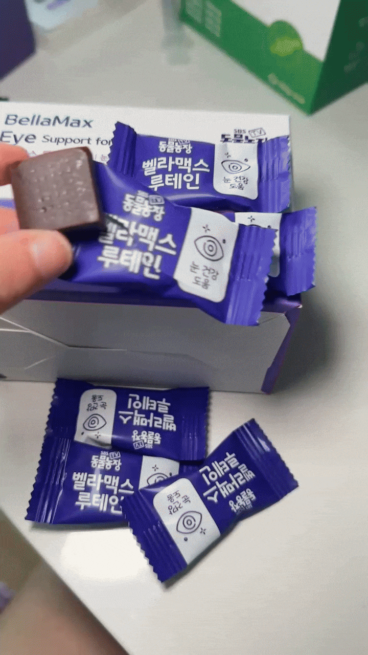  강아지 눈 건강 관리엔? 'SBS TV 동물농장' 방영 된 벨라맥스 루테인!