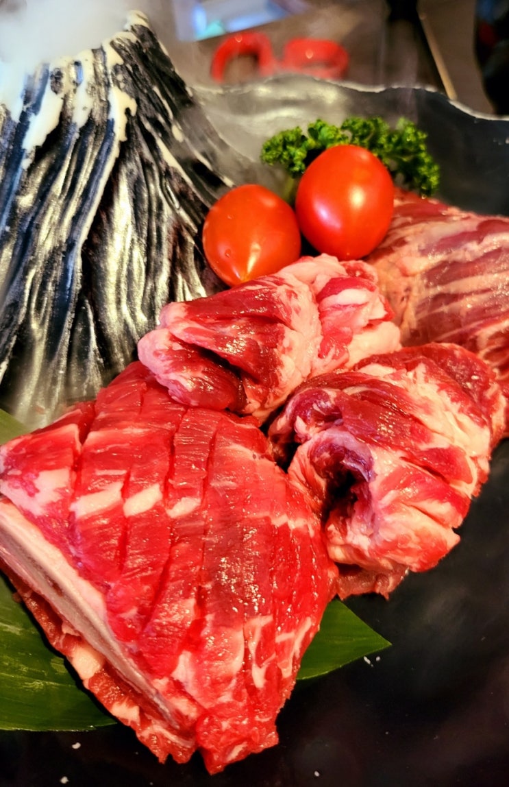  [문현동]애견동반 가능한 화로구이 맛집 문현동고기집 '시바화로'