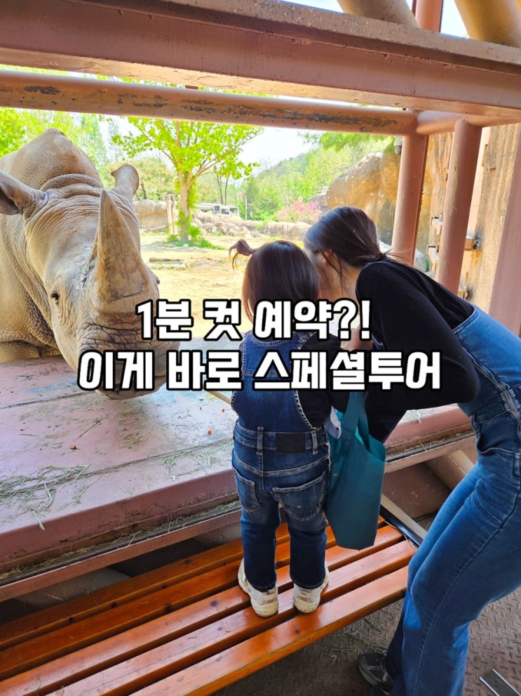  에버랜드 스페셜 투어, 100만원 값어치 했을까?