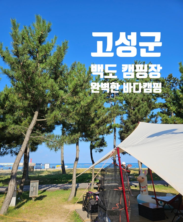  강원 고성군 | 백도 오토캠핑장 동해 바다 캠핑 스노쿨링 수영 낚시 컨텐츠 한가득