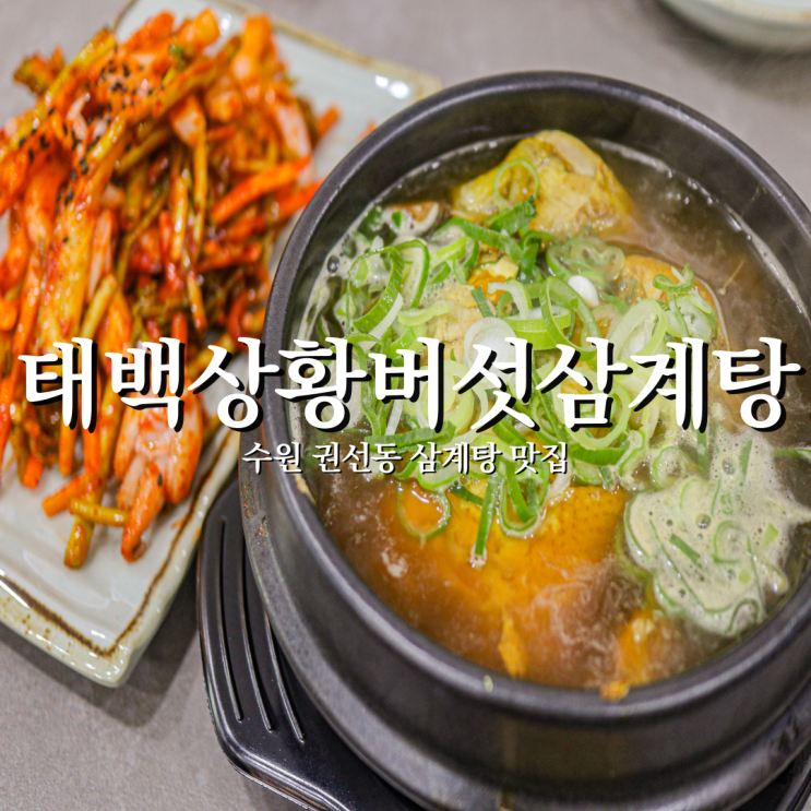  부모님과 몸보신하기 좋은 권선동 맛집 태백상황버섯삼계탕