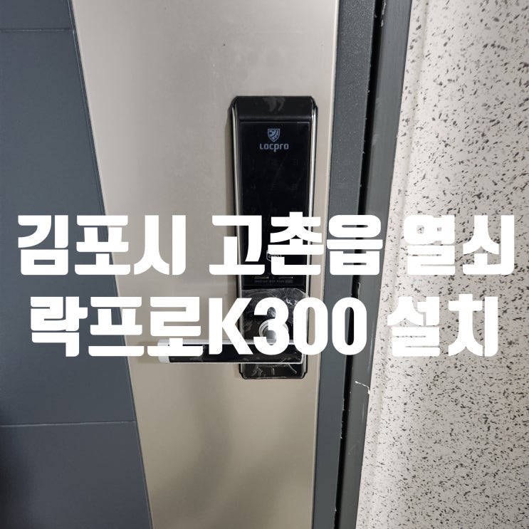  김포 고촌읍 열쇠 아파트 현관문 게이트맨에서 락프로 K300(비상키형)으로 완벽 교체 설치!