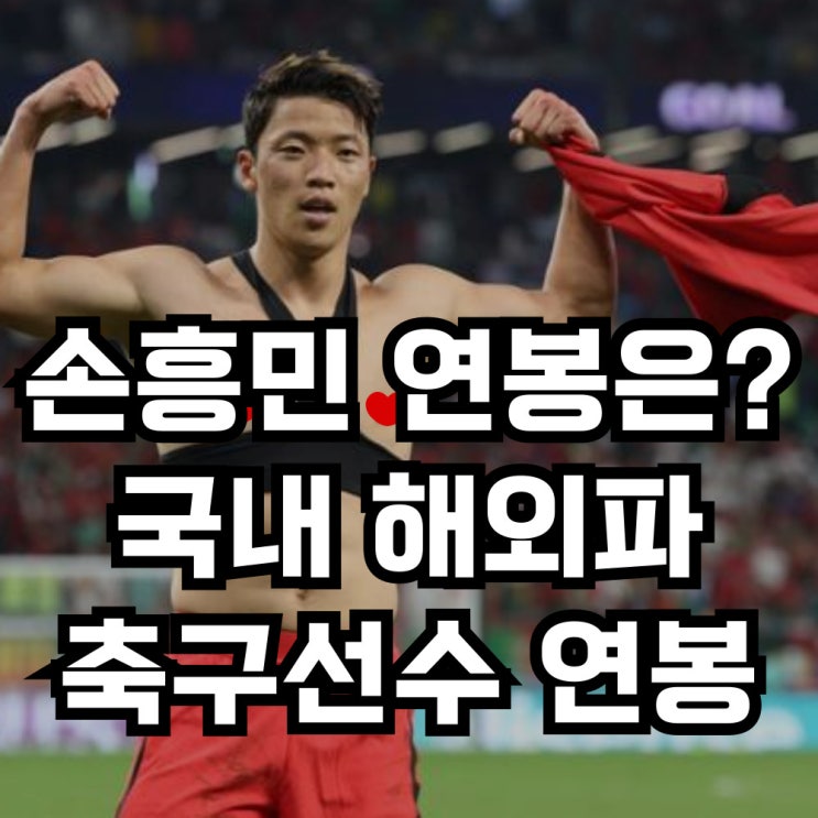 <b>손흥민</b> 연봉은? 해외파 국내 축구<b>선수</b> 연봉 순위 정리