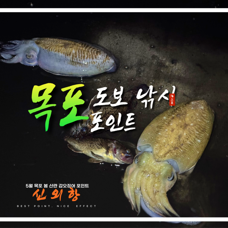  목포 도보낚시 신외항 포인트 산란 봄 갑오징어 터진 곳