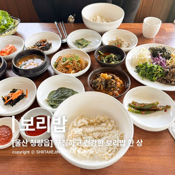  [울산 덕하 맛집] 정갈하고 건강한 내돈내산 청량읍 한정식 맛집 , 보리밥 레스토랑