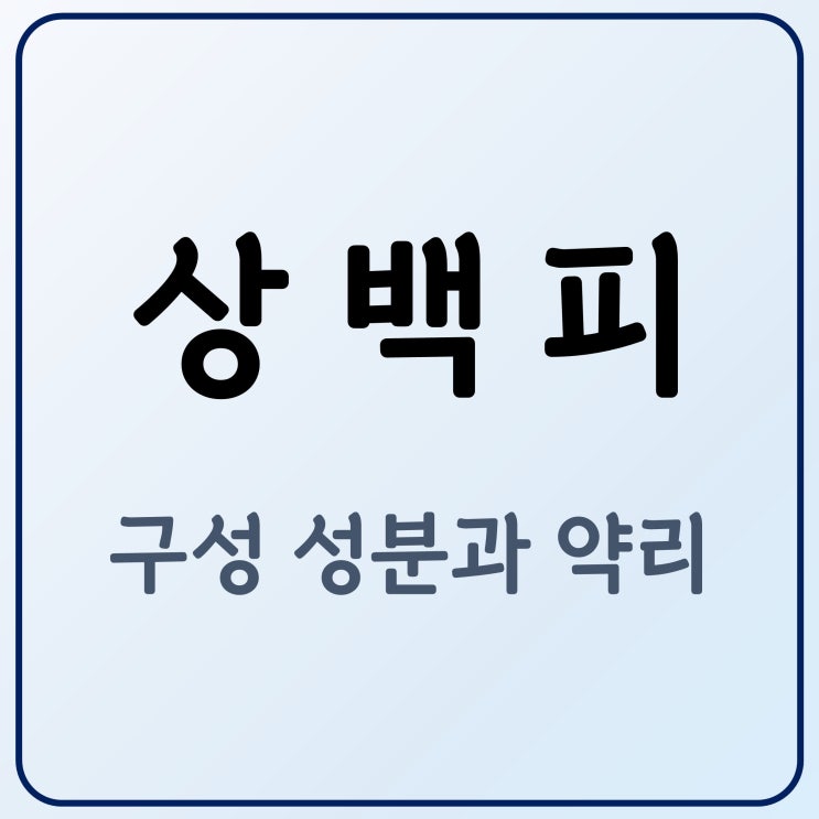  뽕나무 뿌리 상백피(桑白皮) 주요 성분 약리 작용 정리