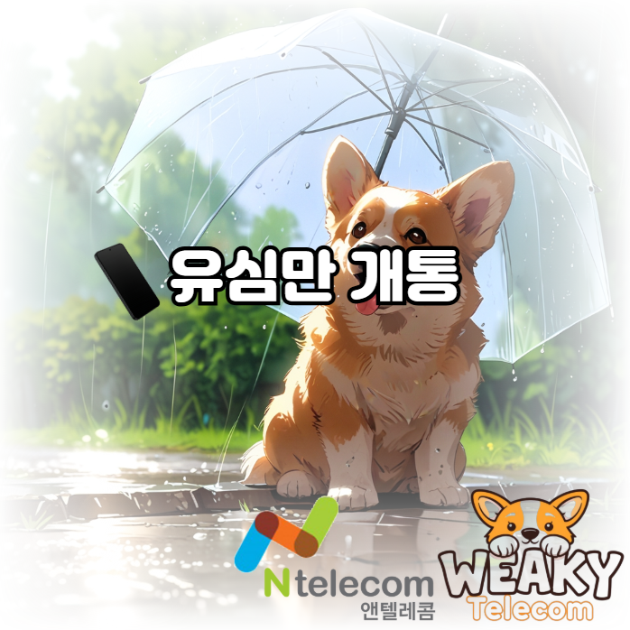  유심만 단독 개통하여 쓰던 폰 그대로 사용하기 위해서는?