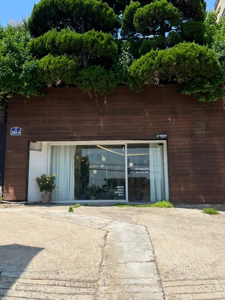  연희동에 위치한 서울플랜트클럽