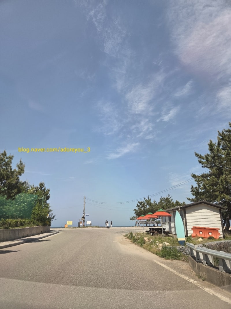 사진 9