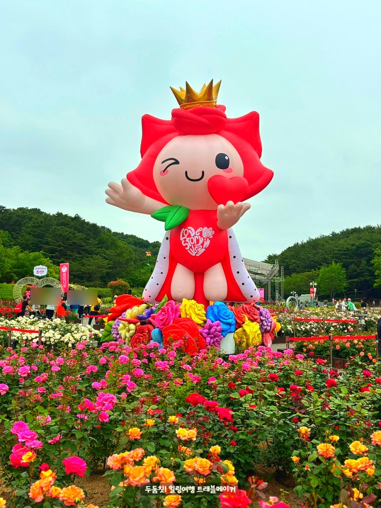  울산대공원 티니핑 장미축제 포토존 개화현황 주차장