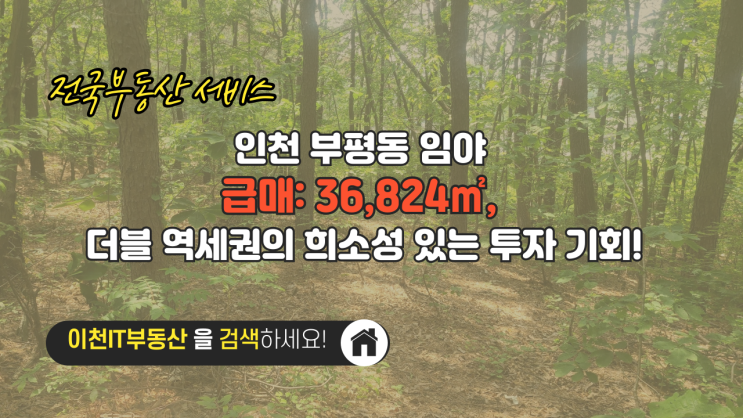  인천 부평동 임야 급매: 36,824, 더블 역세권의 희소성 있는 투자 기회! - 이천IT부동산