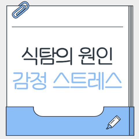  식탐의 진짜 원인은 감정 스트레스였다!