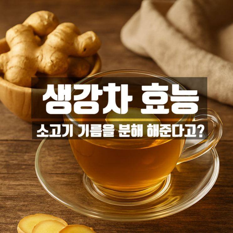  생강차 효능 성분 부작용 총정리 - 소고기 기름을 녹여주는 해독 디톡스차