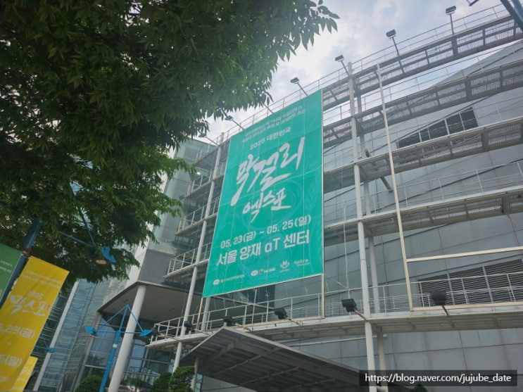  다양한 막걸리와 전통주 시음하고 만취하고 나온 막걸리 엑스포 막스포 2025 후기