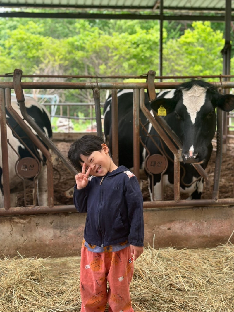 경남 진주 아이 체험 숲속치즈스쿨 피자 쿠키 먹이체험까지