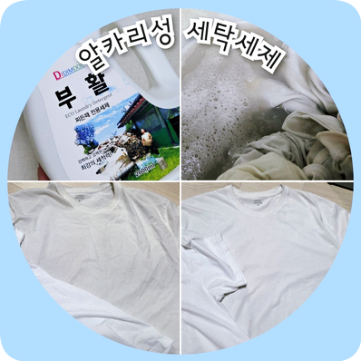 알카리 세탁세제 부활세제 사용법 (내돈내산 후기)