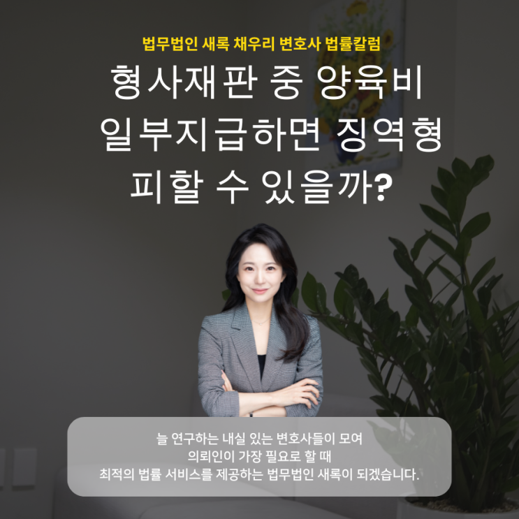  형사재판 중 양육비 일부지급하면 징역형 피할 수 있을까?