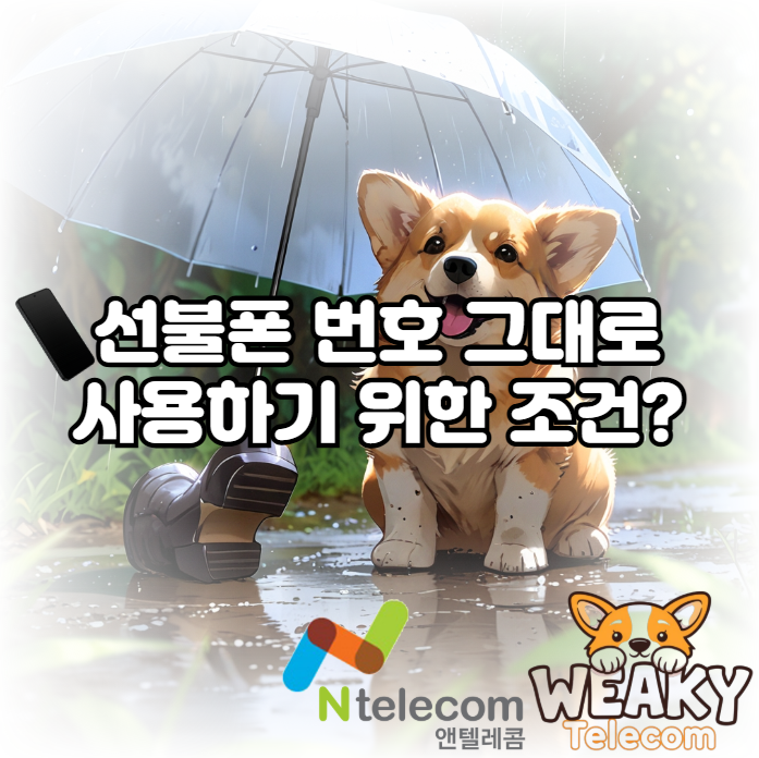  선불폰을 번호 그대로 사용하기 위한 조건 및 개통 방법을 알고 싶다면?