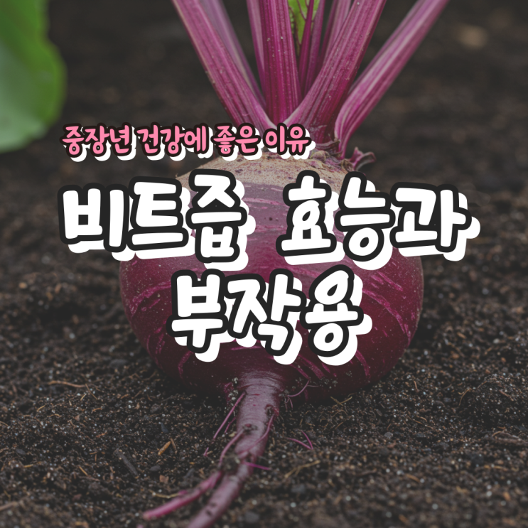  비트즙 효능과 부작용 – 중장년 건강에 좋은 이유