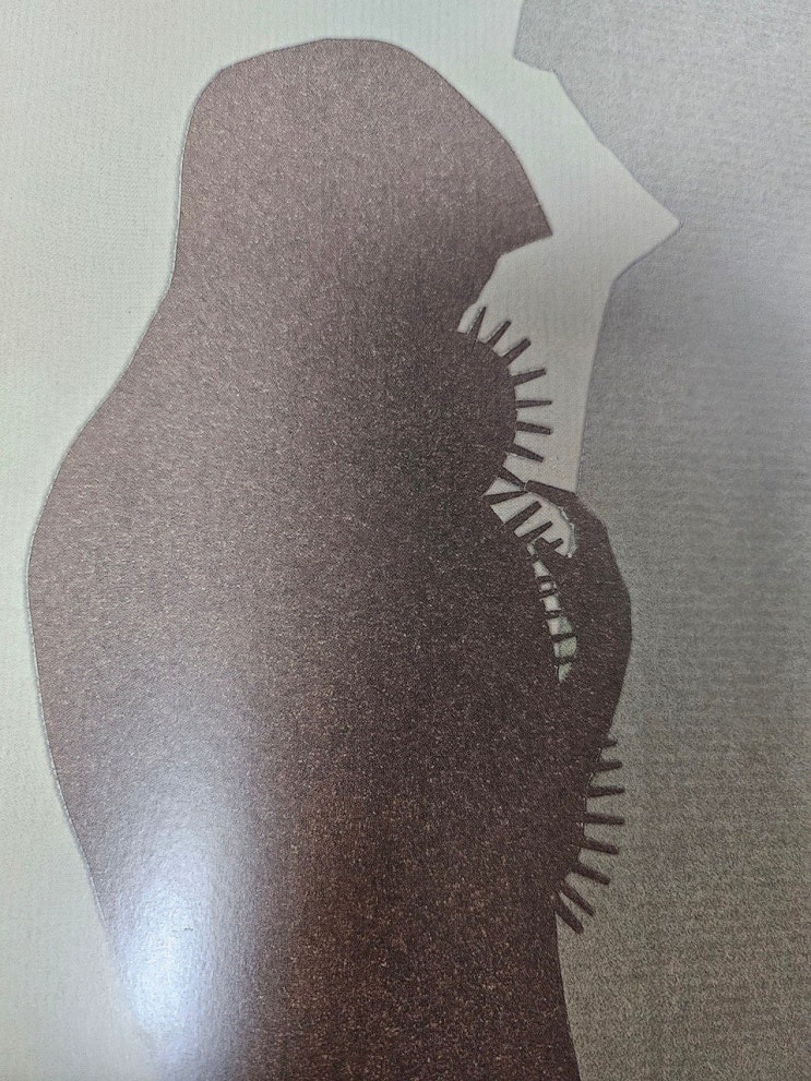 생각하는 그림책, 어린이, 청소년, 그리고 어른 < 고슴도치 아이 >