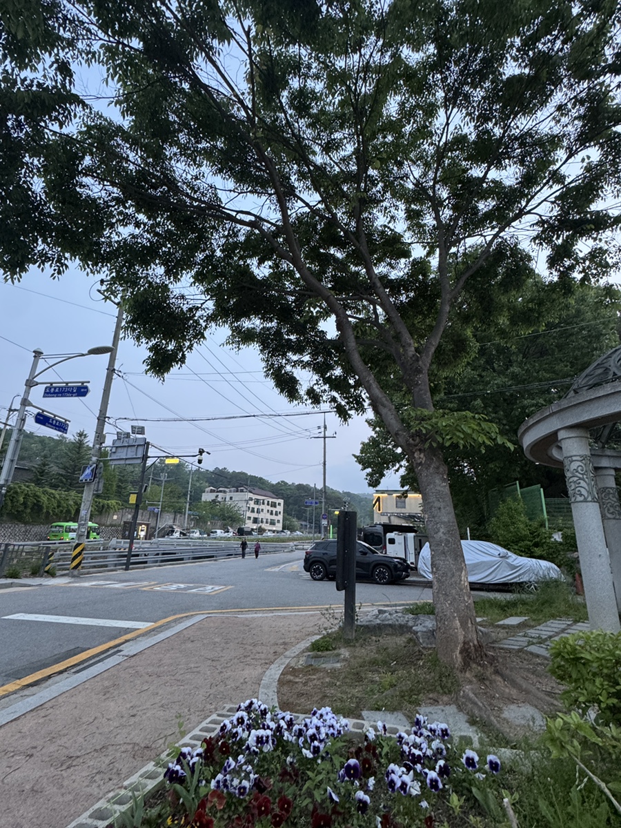 꼬꾸이누룽지통닭 도봉점 사진 3