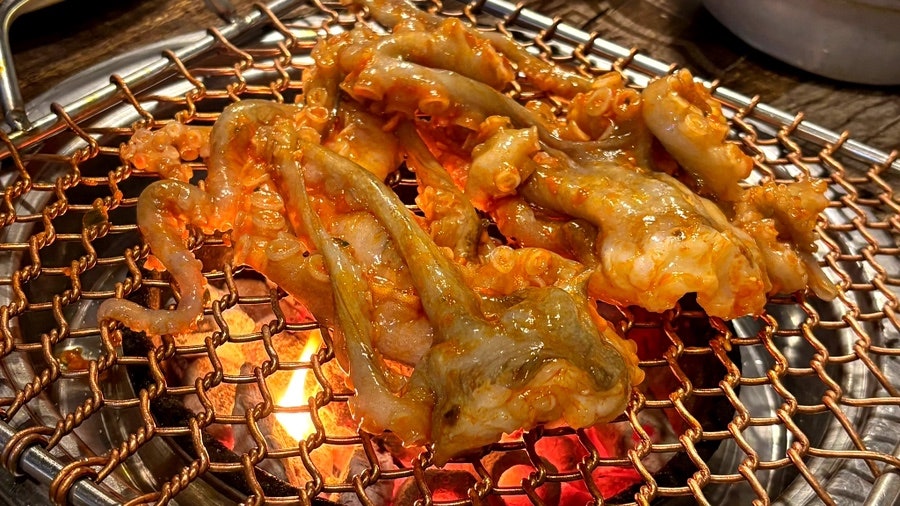 대박통 사진 2