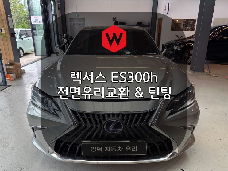  포항차유리 대구에서 오신 고객님의 렉서스 ES300h 유리교환 윌로우