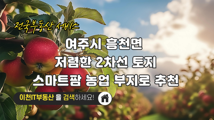  여주시 흥천면 면소재 넓고 저렴한 2차선 토지 매매: 스마트팜 농업 부지로 추천 - 이천IT부동산