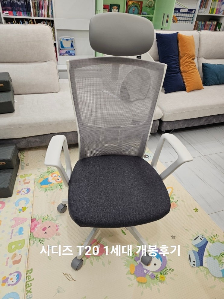  시디즈 T20 1세대 조립방법부터 2개월 실사용 후기까지 내돈내산 리뷰